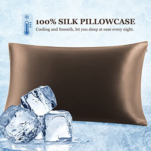 PiccoCasa Silk Pillowcase, 100% Silk, 19 Momme, Zippered, Moisture-Wicking, Glossy, Smooth, Double-Sided, Brown, 40x80cm