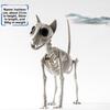 Halloween Dark Animal Skeletons For Haunted House Decor