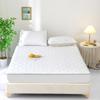 Machine Washable Single Thickened Bed Cover Quilted Mattress Protector