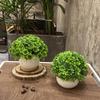 Home Homestay Ornaments: Mini Potted Green Plant for Office Conference Room Decor
