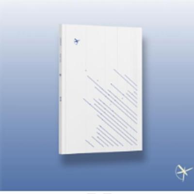 GIRIBOY - 10.5th Appendix