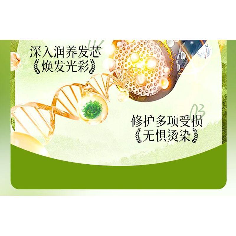 ZOOLY - No.5 Ginger Scalp Repair & Nourish Hair Mask