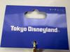 Tokyo Disney Resort Its Small World Groot Keychain Marvel Japan