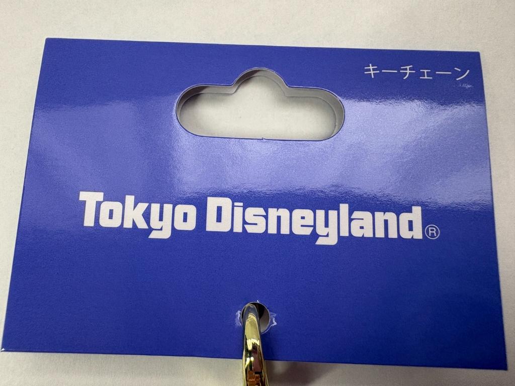 Tokyo Disney Resort Its Small World Groot Keychain Marvel Japan