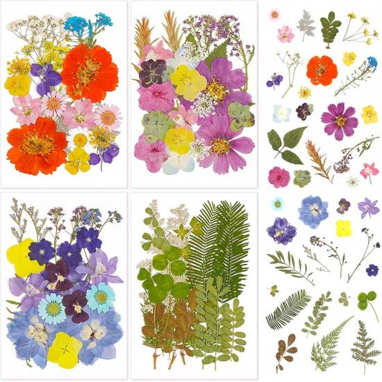 Pressed Flowers Bulk Dried Flowers for Crafts,Real Natural Pressed Flowers Dry Leaves Kit for Crafts Resin Mold Jewelry Candle Soap Making