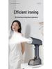 Dual-Function Handheld Garment Steamer & Iron