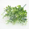 Globulus Branch Eucalyptus For Garden Party Photography Decoration Props