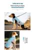 Pet Cooling Vest: Breathable, Anti-Heatstroke Dog Apparel with Reflective Strip for Summer