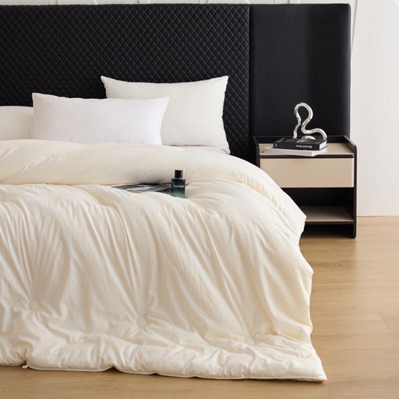 Southbedding Ultra-Soft All-Season Quilt