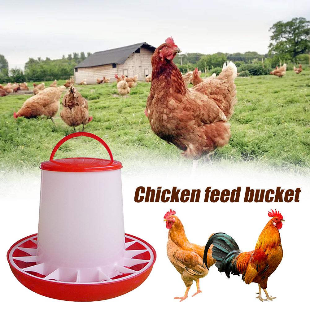 1KG Automatic Chicken Feeder Bucket Rooster Hen Feeding Farm Animal Device, Supplies Poultry Qu G2E3