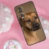 Rhodesian Ridgeback Dog Case For Honor Magic 7 5 6 Lite Pro Honor 200 Pro 50 70 90 X9b X9a X8b X8a X8 X9 X9c Cover