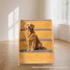 Wooden Pet Ladder: Bedside and Sofa Side Stairs for Dogs and Cats