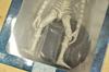 Death Note DVD Vol.6 Limited Edition with Rem Figure New Sealed Japan Anime