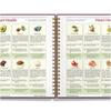The Natural Healing Handbook - Simple Recipes & Remedies for Every Condition