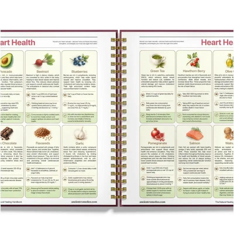 The Natural Healing Handbook - Simple Recipes & Remedies for Every Condition