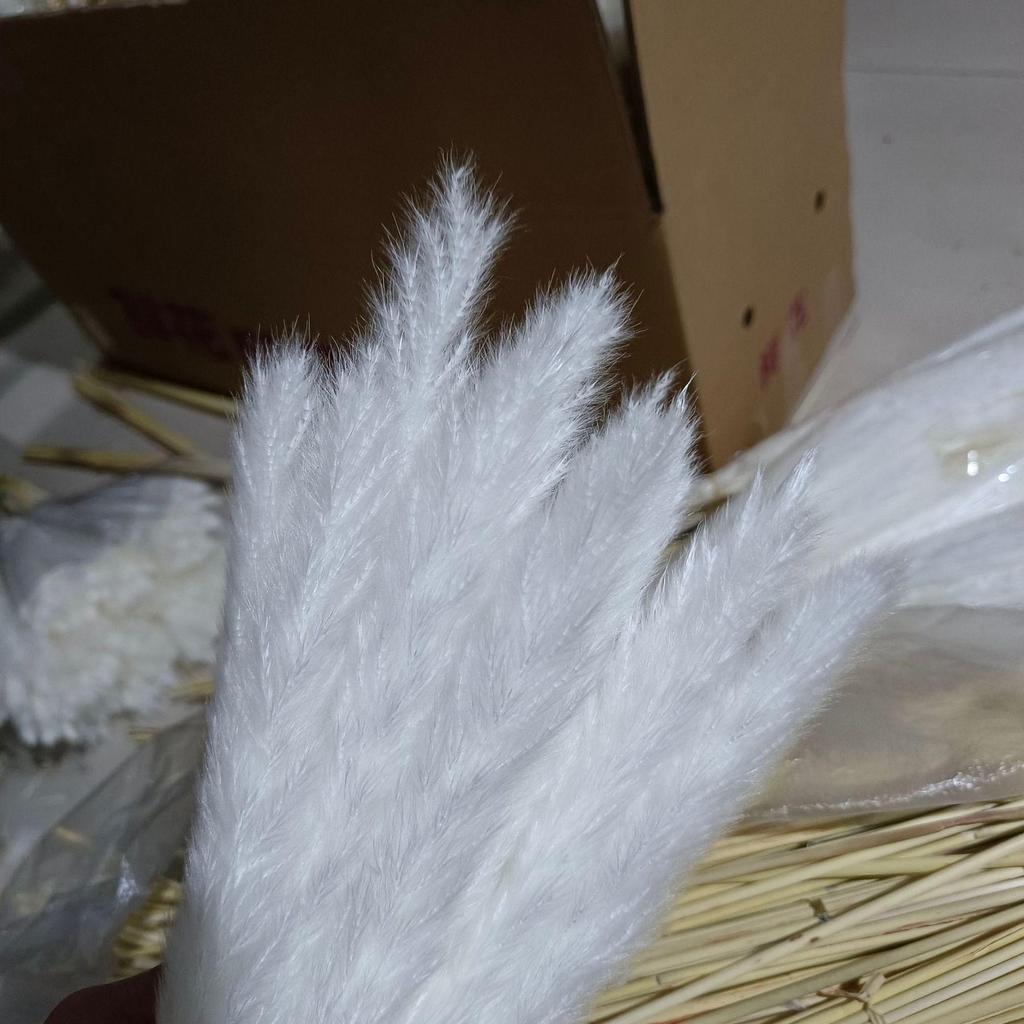 Whisk Rabbit Tail Grass Dried Flower Bouquet - Natural Pampas Grass & Small Reed
