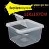 YC Transparent Arboreal Breeding Box for Spider and Scorpion Larvae