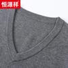 Hengyuanxiang Men's Thickened 100% Fine Wool V-Neck Sweater