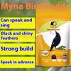 Kaiyuan Starling Bird Food, Parrot, Thrush, Myna, Learn To Speak Quickly, Anti-diarrhea, Calcium Supplementation, Bright Hair, Fat, Nutritious Food