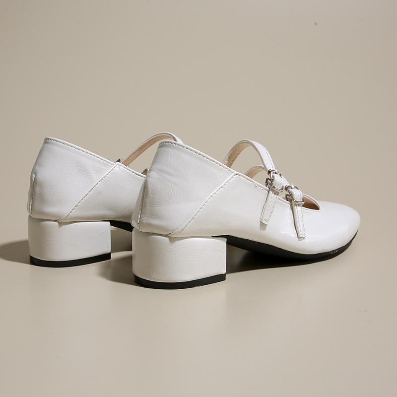 Coarse heel silver single shoes women's 2025 new spring and autumn with skirt evening shoes Mary Jane high heels low heel small leather shoes