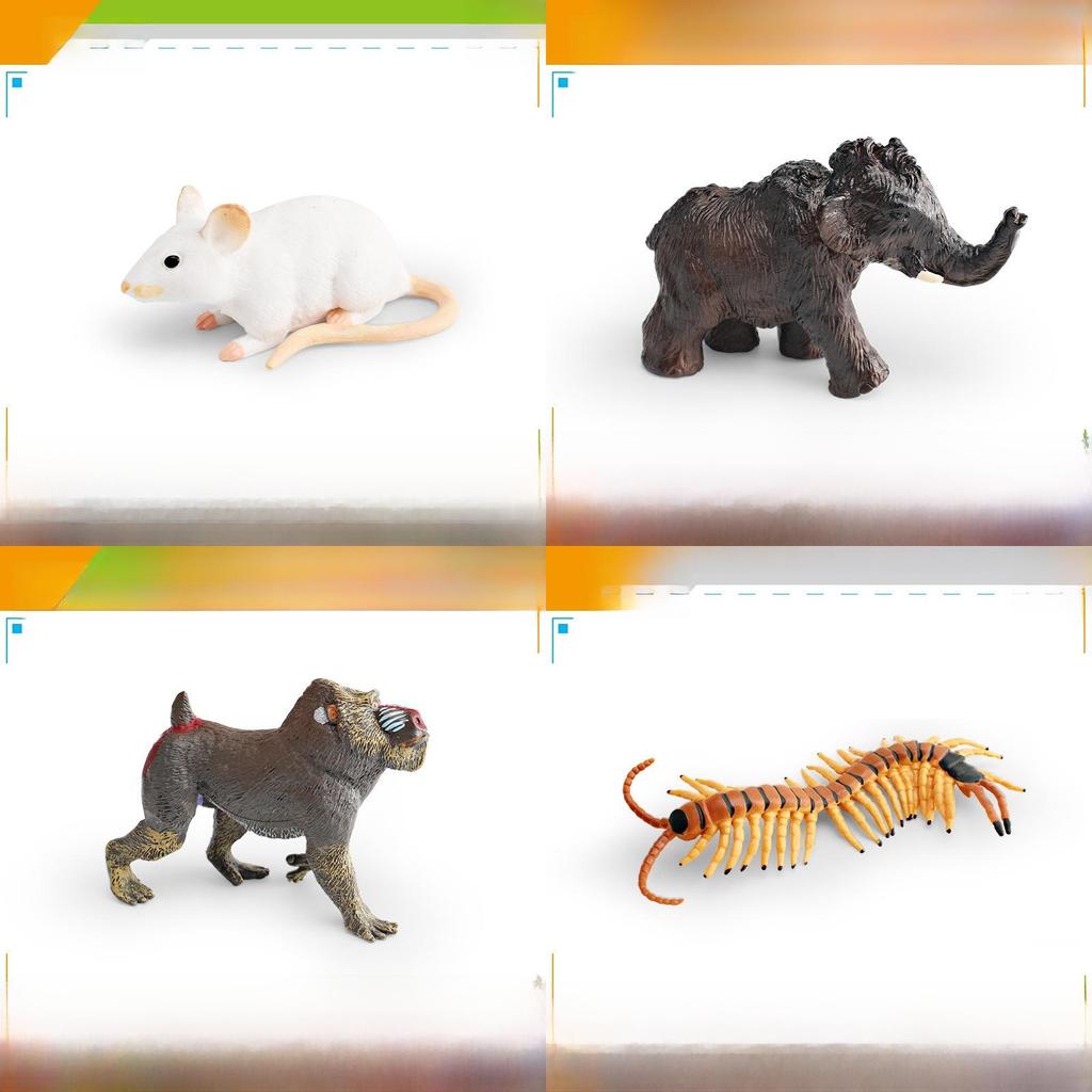 Bären Kinder Wildtier Sammlung PVC Figuren mit realistischem Design zum Lernen und Dekorieren