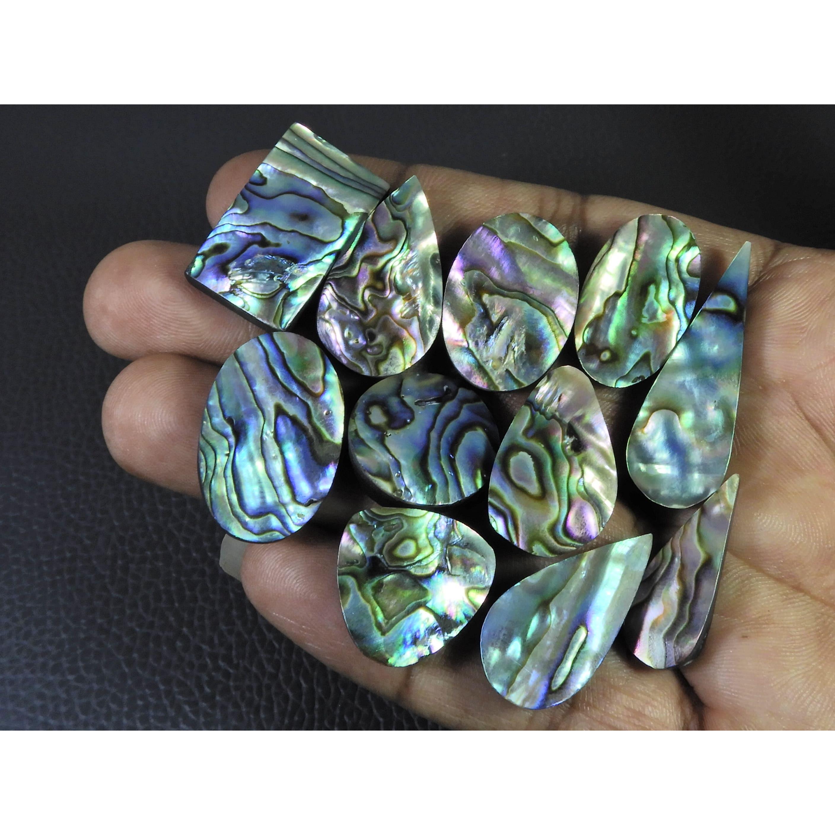 11Pcs Abalone Shell Mix Cabochon Loose Natural Gemstone 195Cts. Lot 19-25MM C-1721