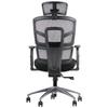 TREX BLACK Ergonomic Chair, Aluminum Base