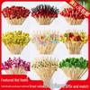 Disposable Bamboo Fruit & Appetizer Picks