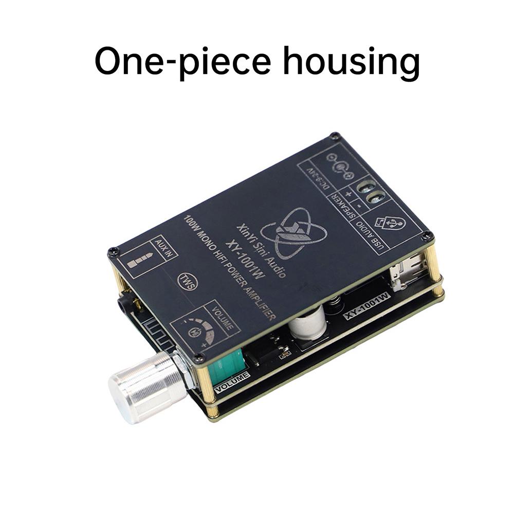 TPA3116D2 Digital Power Amplifier Board Mono 100W Bluetooth Audio Amplifier Board Module TWS Box True Wireless TPA3116