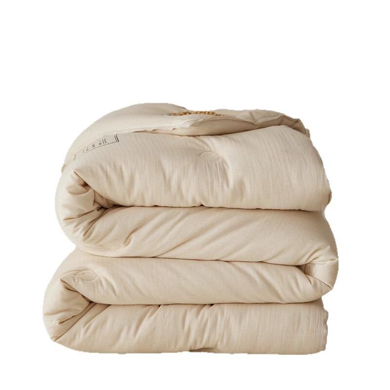 Brangdy Soybean Fiber Winter Quilt