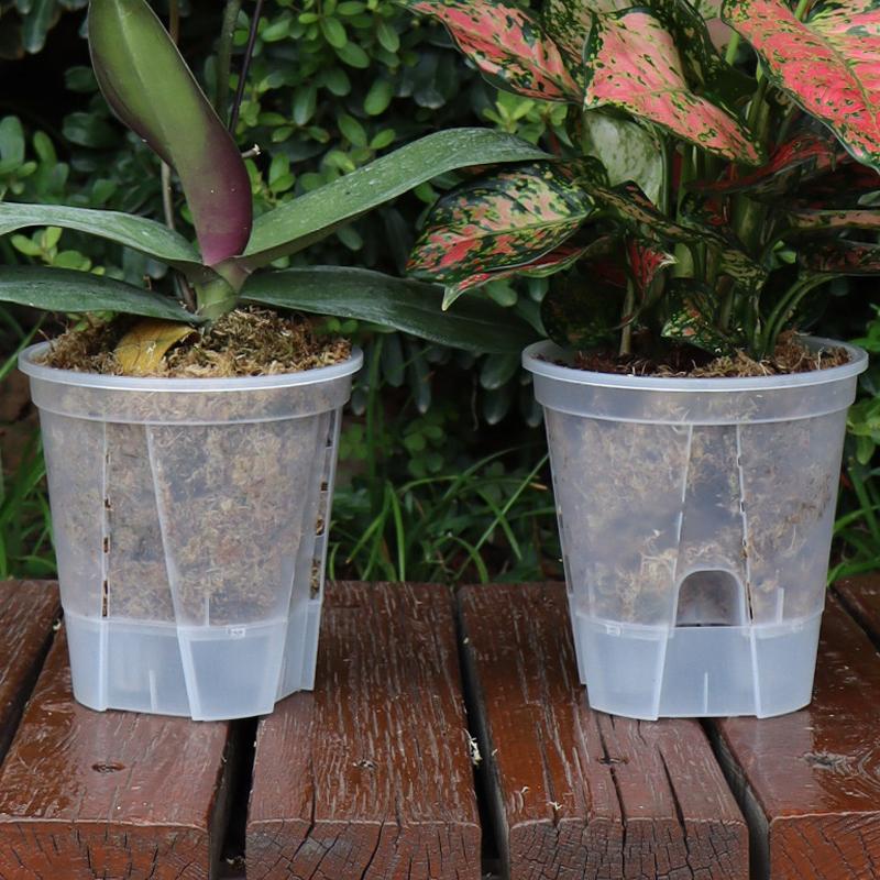 Water Storage Flowerpot Bonsai Basin Butterfly Orchid Breathable Hydroponic Pot Self Absorbing Basin Gardening Planting Tool