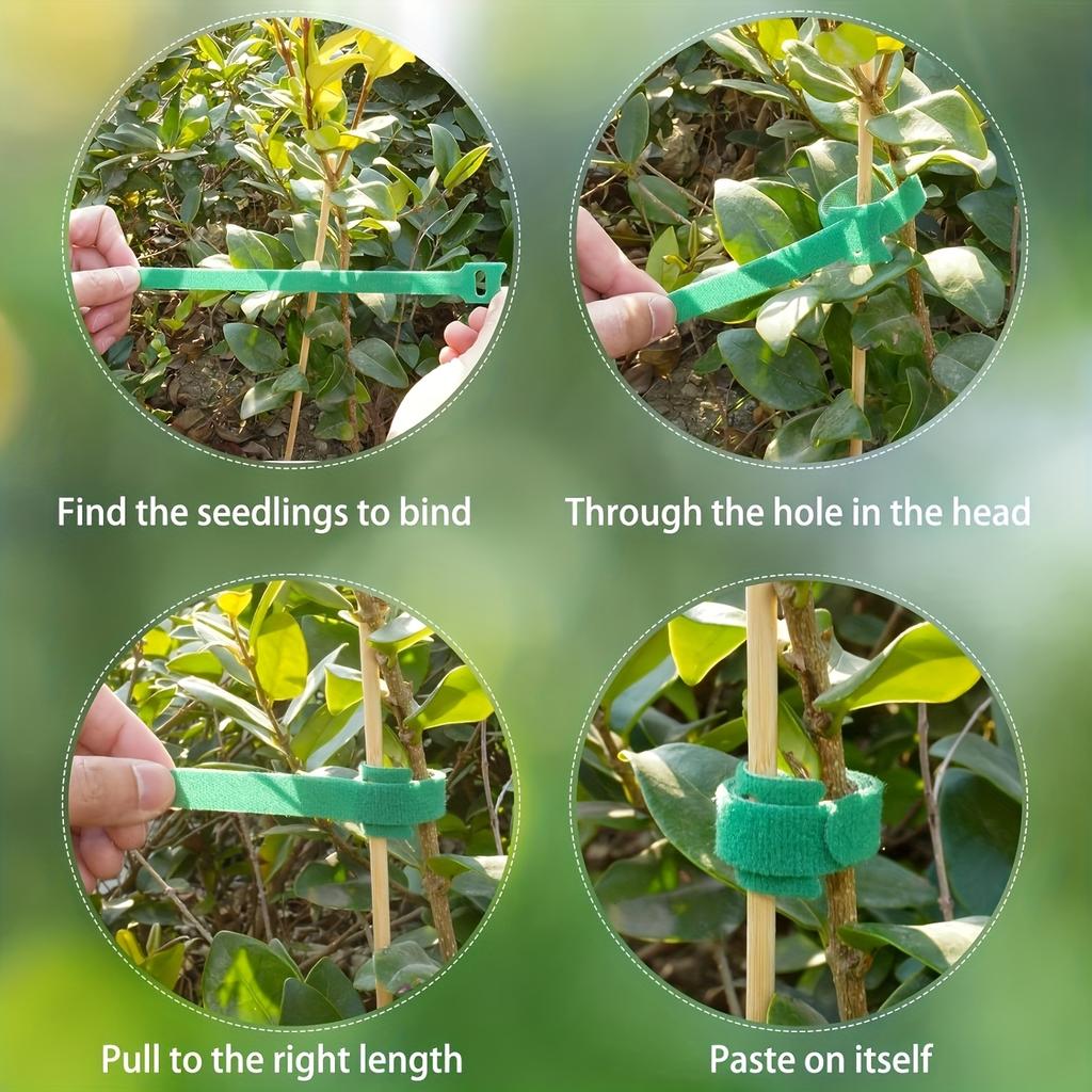 1/10/20/30PCS Reusable Adjustable Plant Ties, Green for Climbing Plants, Support and Garden Maintenance