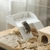 Double Ladder Turtle Basking Platform Plastic Feeding Platform  Aquatic Turtles