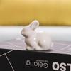 White Ceramic Bunnies Home Tabletop Bookshelf Easter Decorations Bunny Microlandscape Ornament For Garden Backyard Decor Crafts