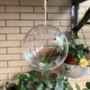 Hanging Bird Feeder Birdhouse Transparent Spherical Shape Bird Nest Garden Decor