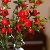DIY Simulation Pomegranate Fruit 6-Fruit Fake Plants Simulation Foam Fruit Tree  Living Room