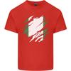 Torn Nigeria Flag Nigerian Day Football Unisexs Light Cotton TShirt