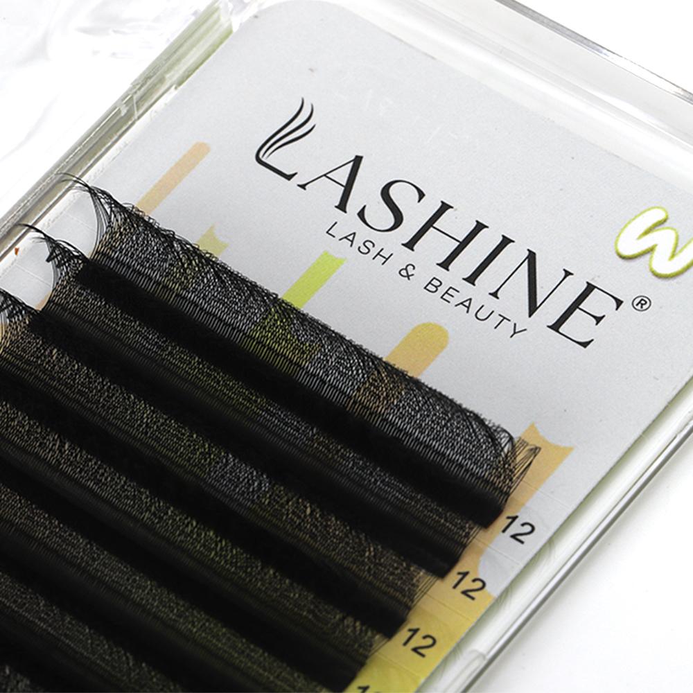 Lashine YY 3D 4D 5D 6D W Shape Lash Premade Fans Eyelash Extension Faux Mink Natural Soft Clover Lash Cilio Volume Eyelashe