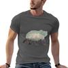 Denali Bear Tshirt Large Size Breathable Tee