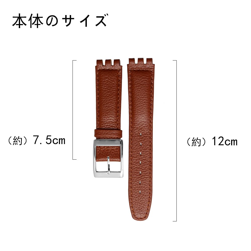 ZHUOLEI Swatch Watch Includes 3 Spring Spring Bar and Box Strap, 17mm/19mm, Bars, Remover,