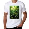 Rainforest In Warm Glow Tshirt Basic Plain Short Sleeve Crew Neck Tee Tshirt