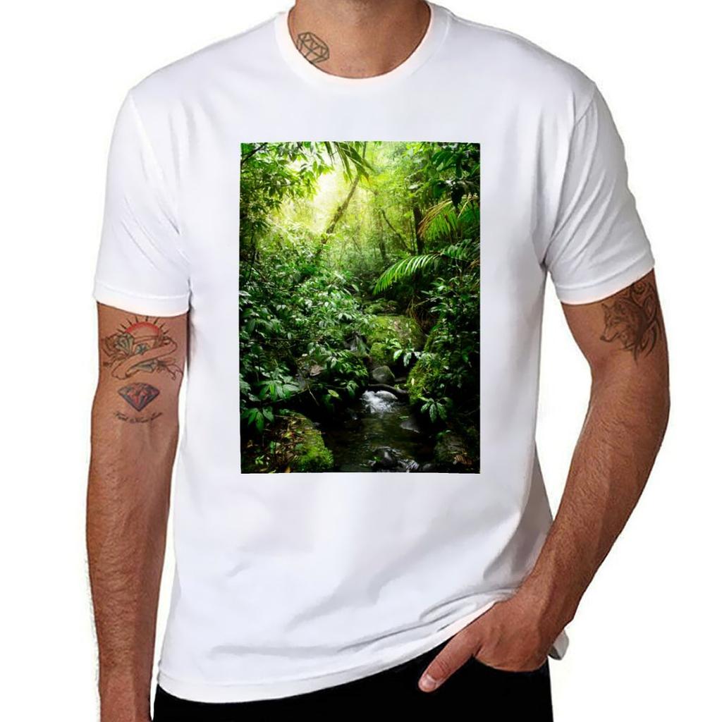 Rainforest In Warm Glow Tshirt Basic Plain Short Sleeve Crew Neck Tee Tshirt