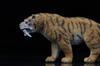 BACALYSO TNG Machairodus Pleistocene Animal Carnivorous PVC Plastic Model Display Ornament Saber-Toothed Tiger, Era, Figure, Saber-Toothed Tiger,