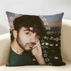 Internet Celebrity Fede VVigevani Cushion Cover Natural Linen Organic Fabric DoubleSided Printing Room Sofa Decor Pillow Case