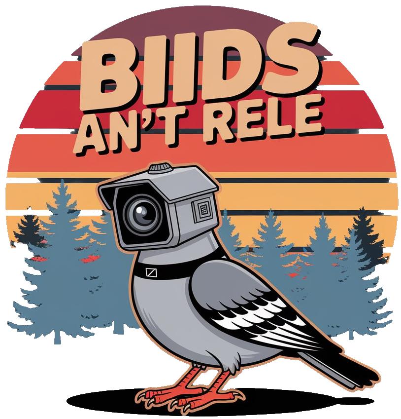 Camera Birds Aren T Real Pop Art Women's Hoodies