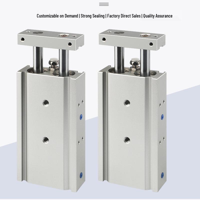 Double Shaft, Double Rod Pneumatic Cylinder TR Series (Sizes: 6/10/16/20/25/32/X10 to X100)