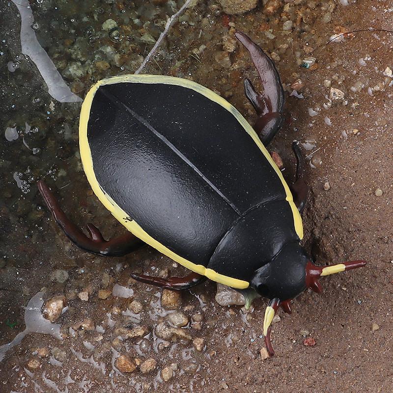 Insect Model Water Bug Toy With Plastic Material For Childrens Educational Play