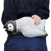 Sunlemon Penguin Plush Toy S 29x41x14cm Cute Animal Sea Creature Stuffed Toy