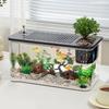 Plastic Reptile Terrarium Tank Reptile Feeding Box Transparent Habitat Cage for Frog Snake Gecko Tortoise Pet Supplies