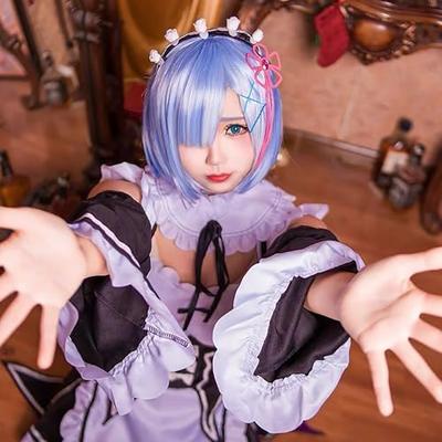 Midoriya Rem and Ram Cosplay Costume Set, Maid Outfit with Wig, Black & White (Rem Set, XXL)
